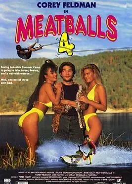 肉丸4