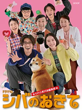 柴犬的规矩~我们这群狗痴编辑部~